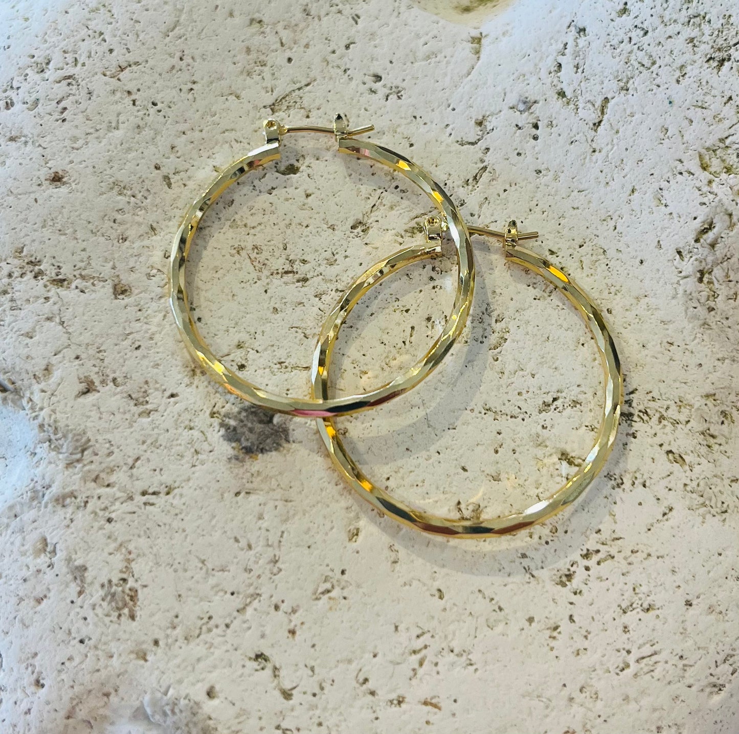 Shiny Hoop Øreringe